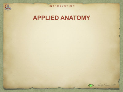 Introduction to Anatomy86.jpeg