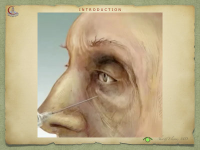 Introduction to Anatomy87.jpeg