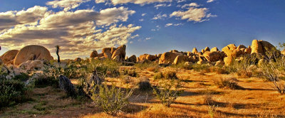 Joshua Tree Pano 