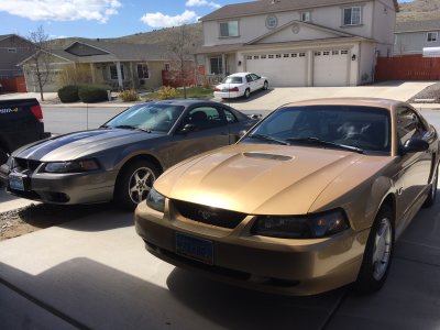 Dad and Son Mustangs 