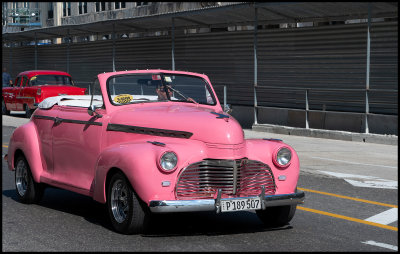 Pink is a popular car color....
