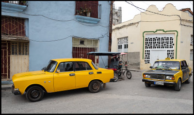 Yellow Russians (Moskovith and Lada) + Bi-Ci Taxis