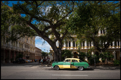 Wonderful environment at Agramonte street