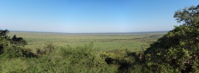 Image00001.jpg