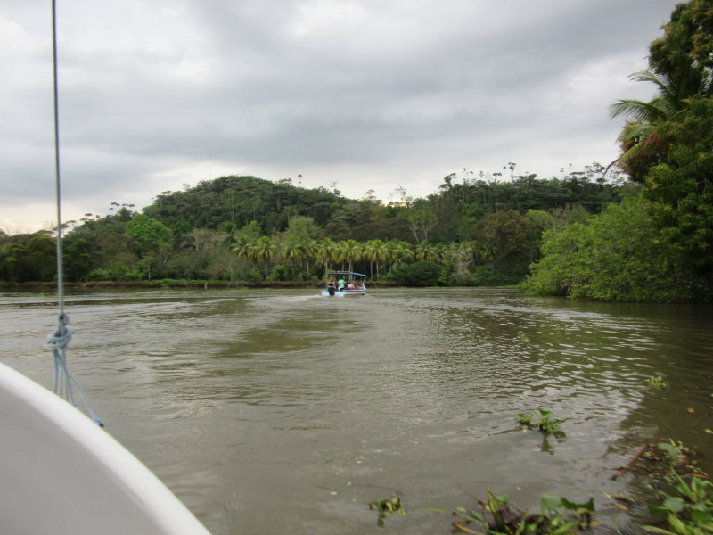 Along the Rio Sierpe to the ocean