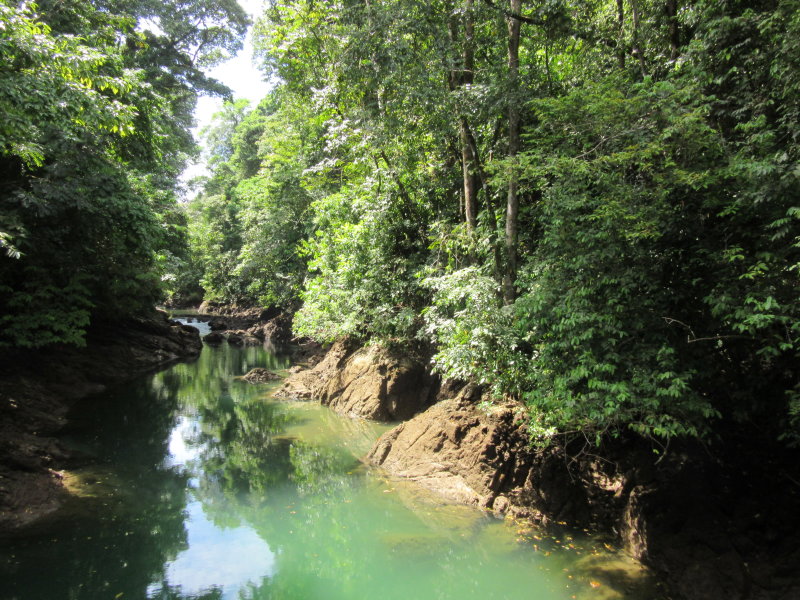 Lovely green water
