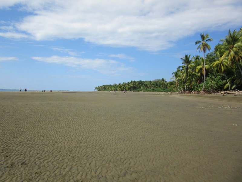 Tide is out - so we can walk to the whale's tail