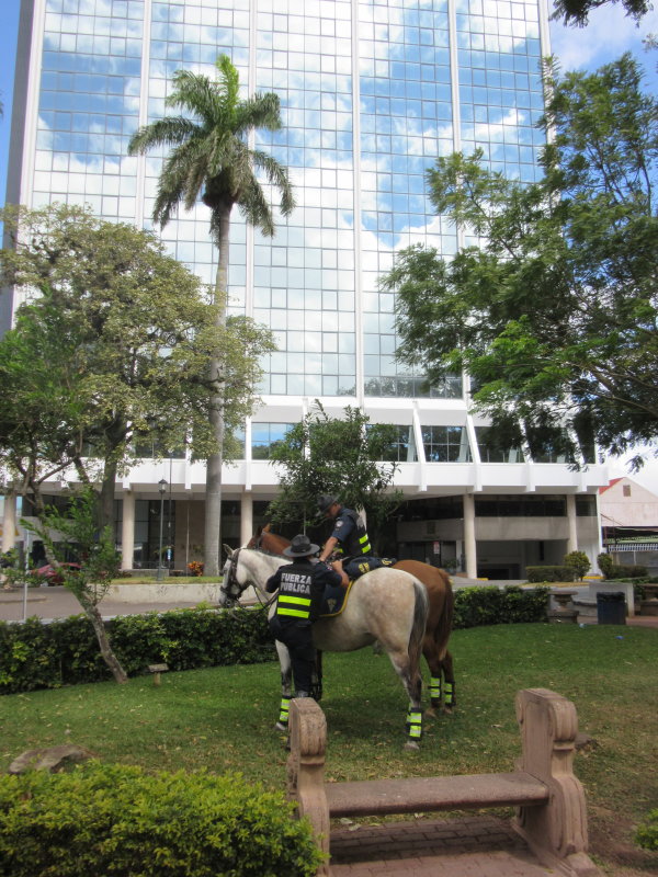 Mounted police
