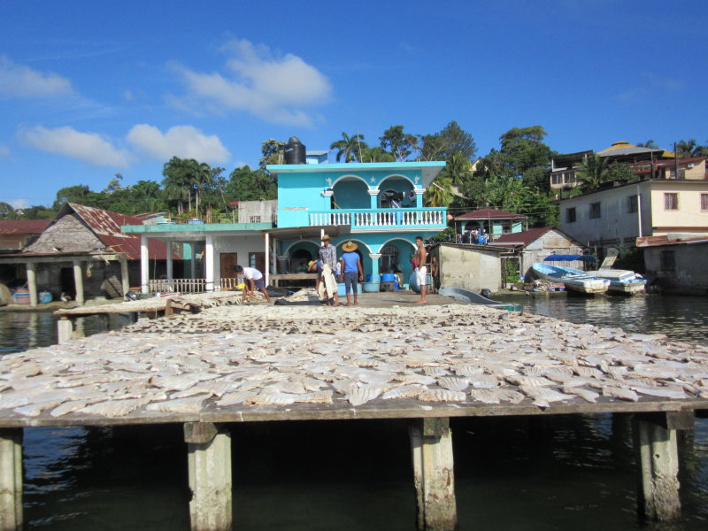 Livingston - fishermen laying out fish