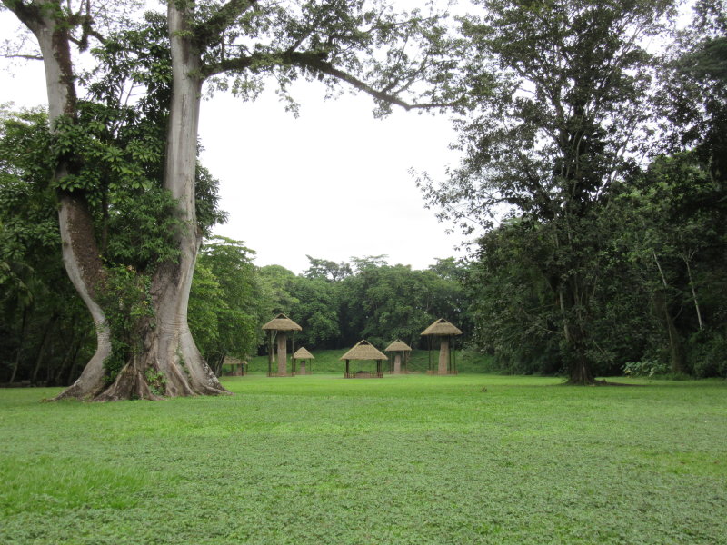 Set in a beautiful tropical park