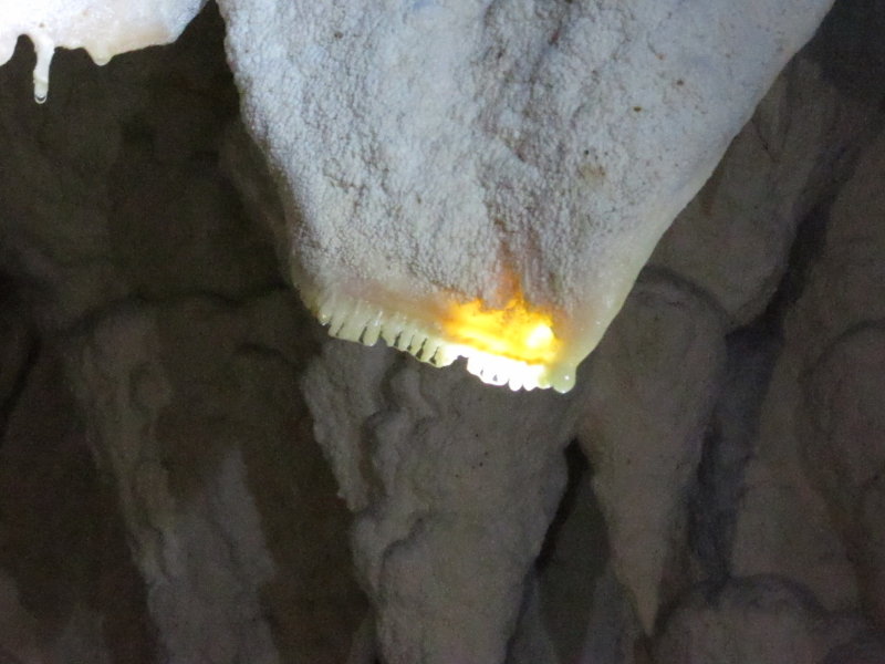 Like teeth