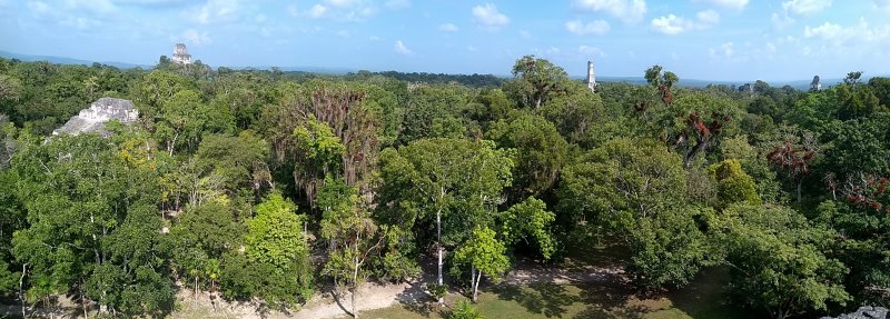 Panorama from the top of a Lost World temple