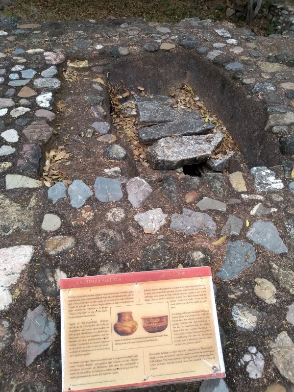Recently excavated tomb area