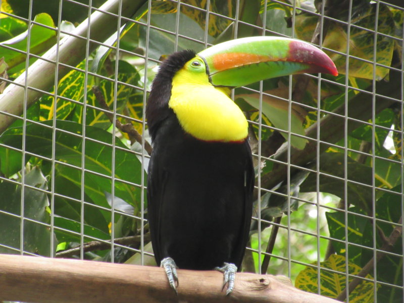 Fantastic colours
