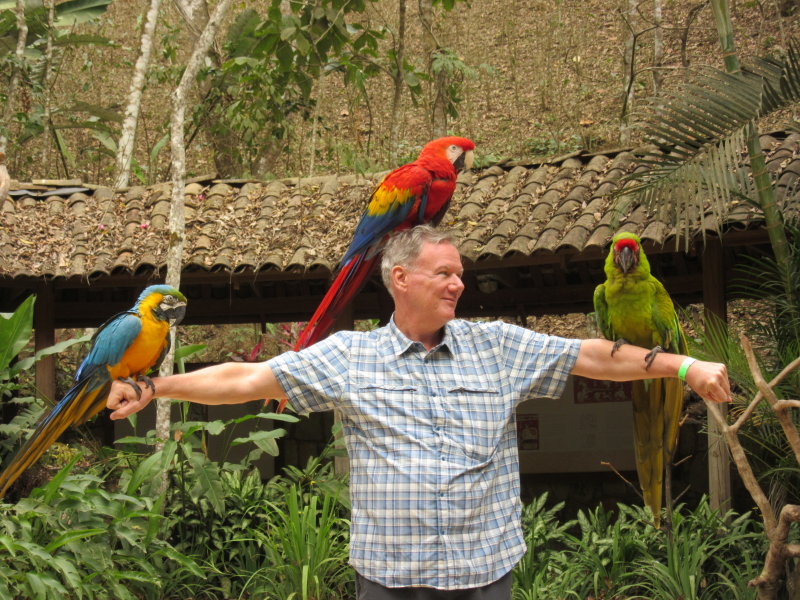 Rescued birds