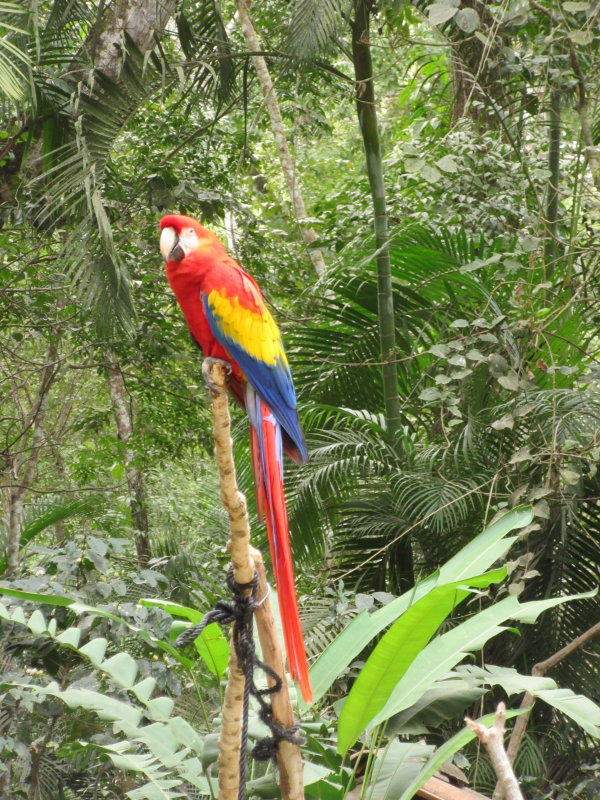 Brilliant colours