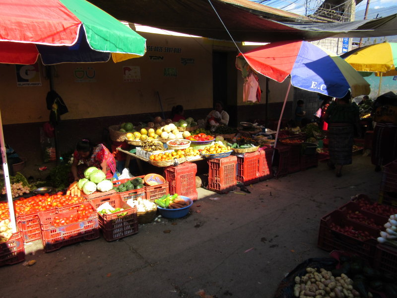 Lots of fruit and veg