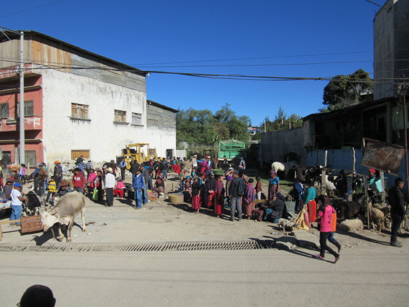 Livestock market