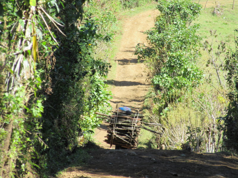 This local carrying firewood makes it look easy