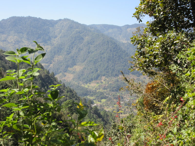 Beautiful view