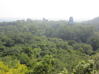 View from Temple IV