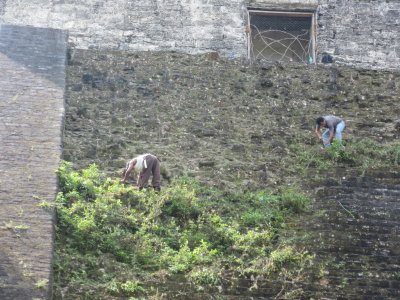 Working hard in the heat