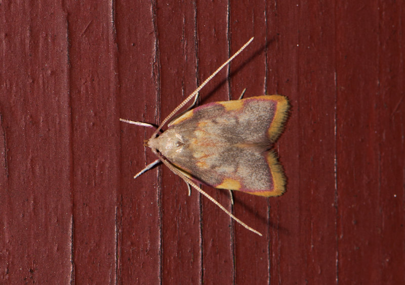 Hyltan Halland 6.10-18