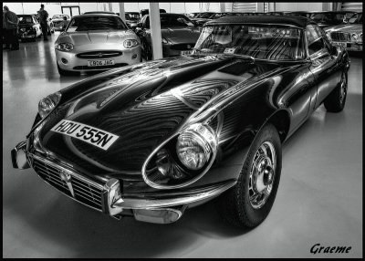 Jaguar Collection Center BMM 