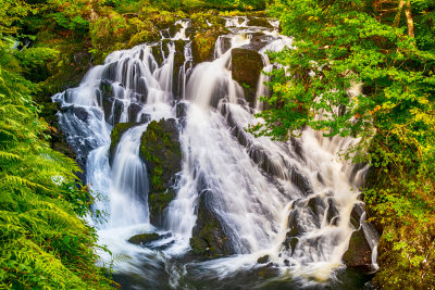 Swallow Falls