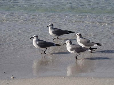 Nature_C282609