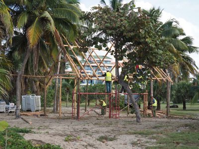 10-Shelter C261874