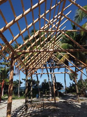 15-Shelter C282246