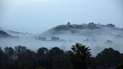 Fog Layers On the Hill