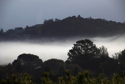 Ribbon Of Fog