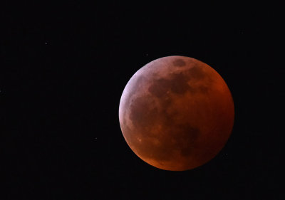Blood Moon - Lunar Eclipse 1/20/19
