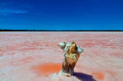 Pink Lake - Dimboola