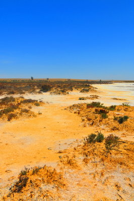 Lake Tyrrell in summer