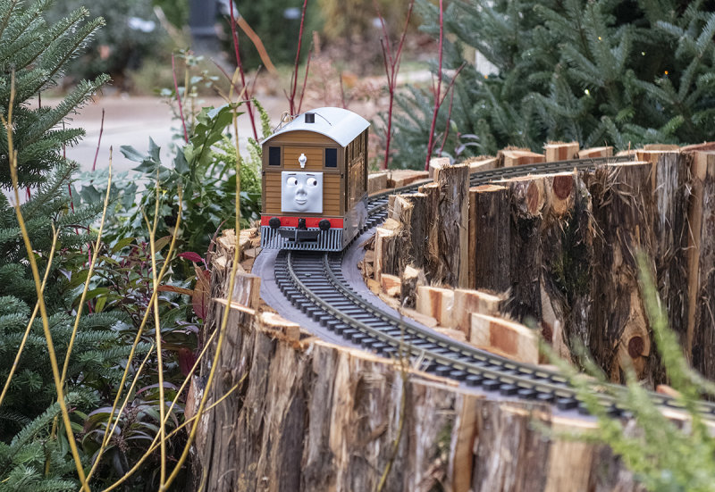 Thomas the Tank Engine outside the conservatory