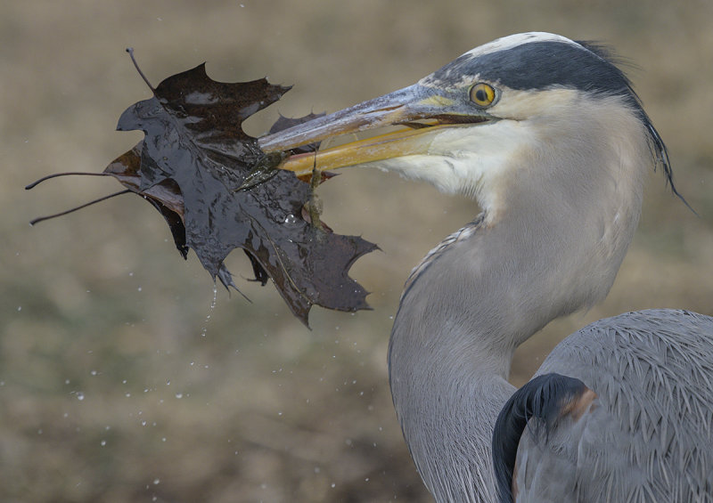 Down the hatch