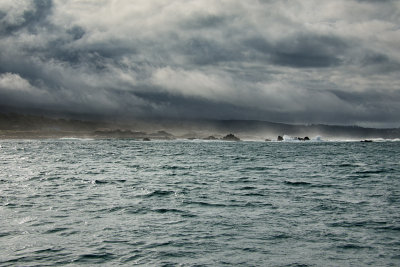 The Pacific Grove/Carmel shore from our whale watching boat