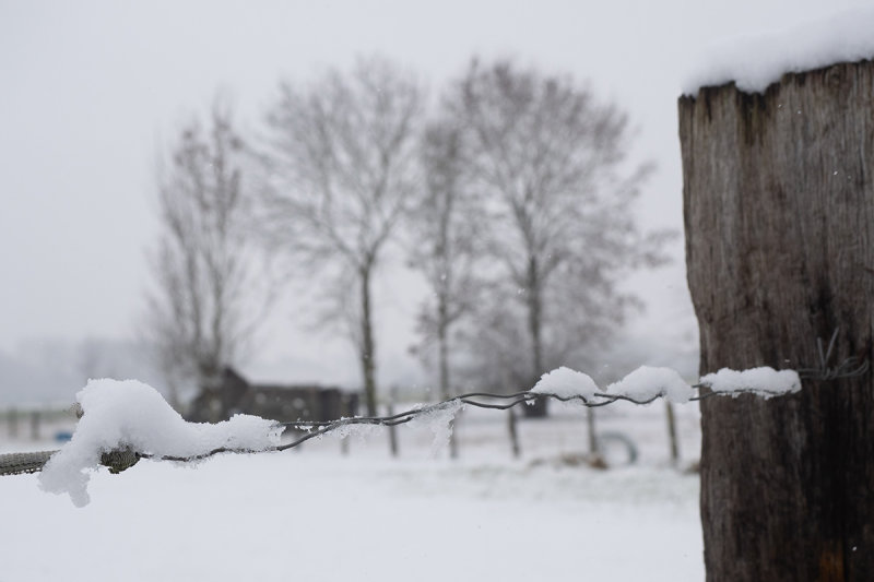 winter