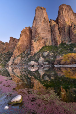 AZ - Salt River Fall Colors 1.jpg