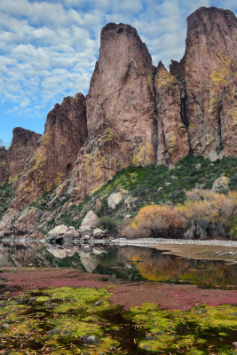 AZ - Salt River Mossy Fall Colors 1.jpg