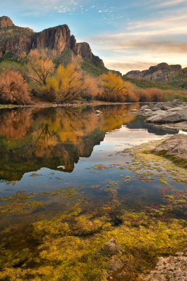 AZ - Salt River Mossy Fall Colors 10.jpg