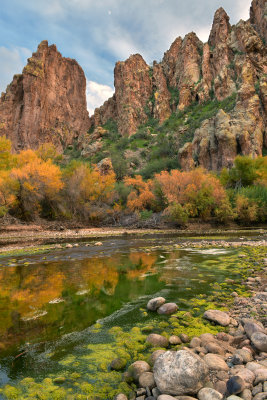 AZ - Salt River Mossy Fall Colors 11.jpg