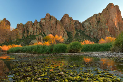 AZ - Salt River Mossy Fall Colors 13.jpg
