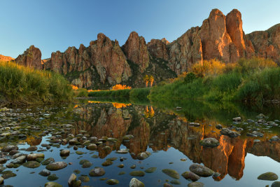 AZ - Salt River Mossy Fall Colors 15.jpg