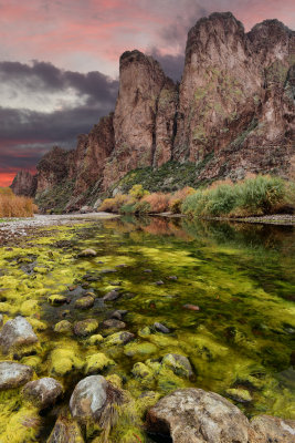 AZ - Salt River Mossy Fall Colors 2.jpg