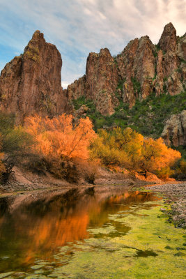 AZ - Salt River Mossy Fall Colors 3.jpg
