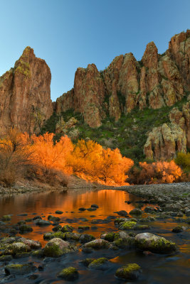 AZ - Salt River Mossy Fall Colors 4.jpg